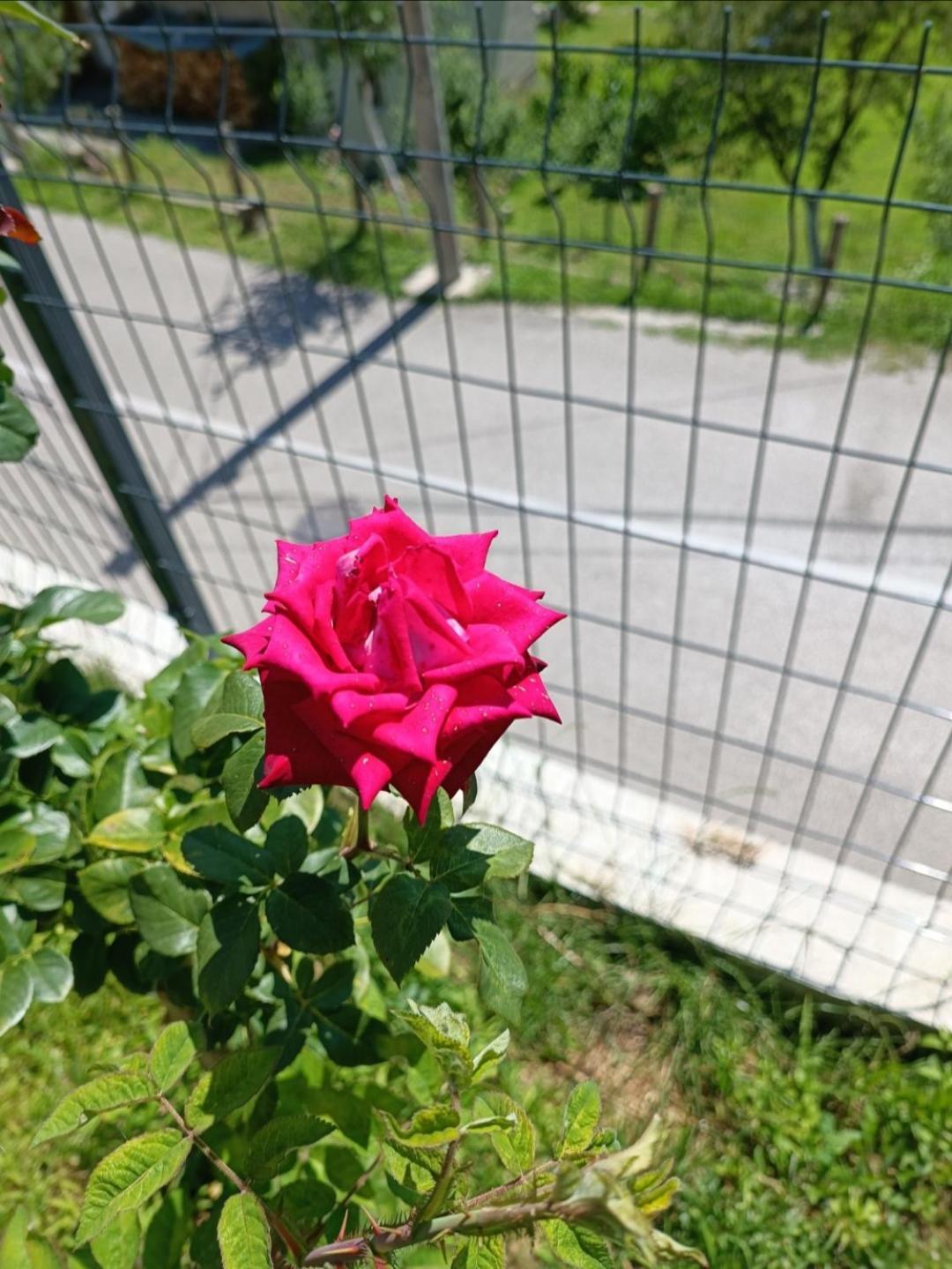 Apartamento Horizontes Azules Konjic
